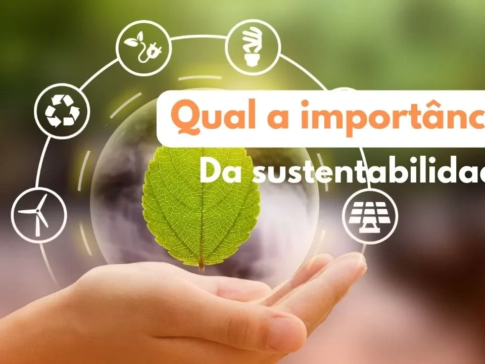 TCC SOBRE DIREITO AMBIENTAL